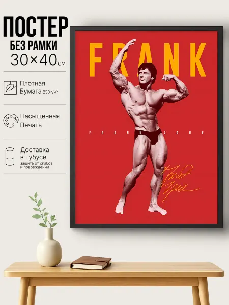 Нет бренда Постер на стену интерьерный,Фрэнк Зейн,Zane,(30x40 см)