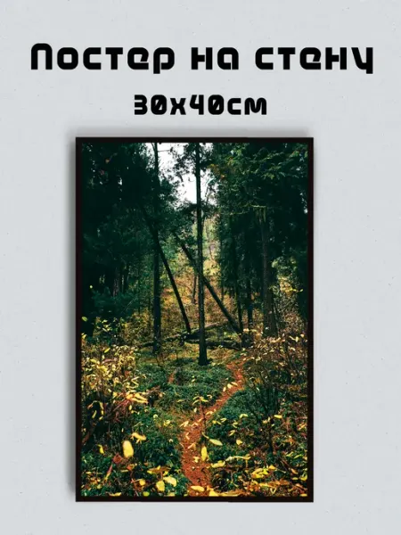 Постер на стену "Лес осенью", А3