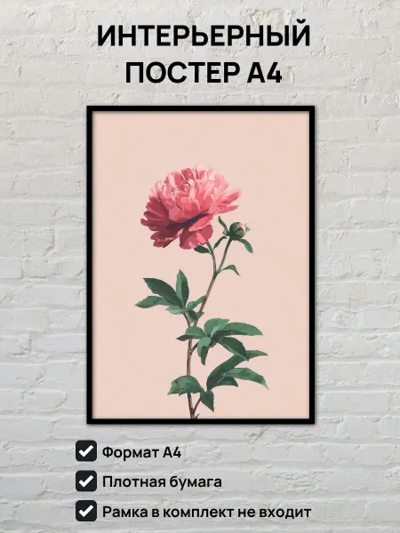 Интерьерный постер А4 Пион