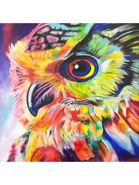000 Art-Hobby-Create Картина по номерам 40х50 Радужная сова