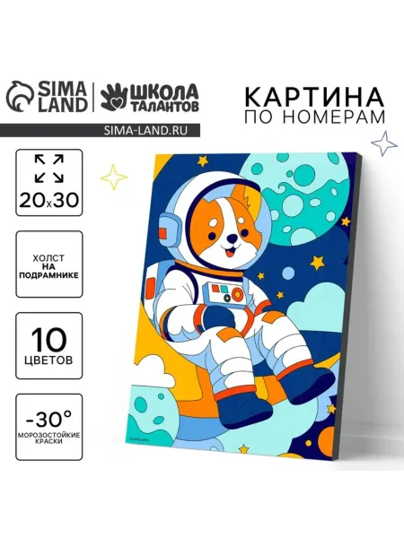 Школа талантов Картина по номерам Корги космонавт 20х30 см