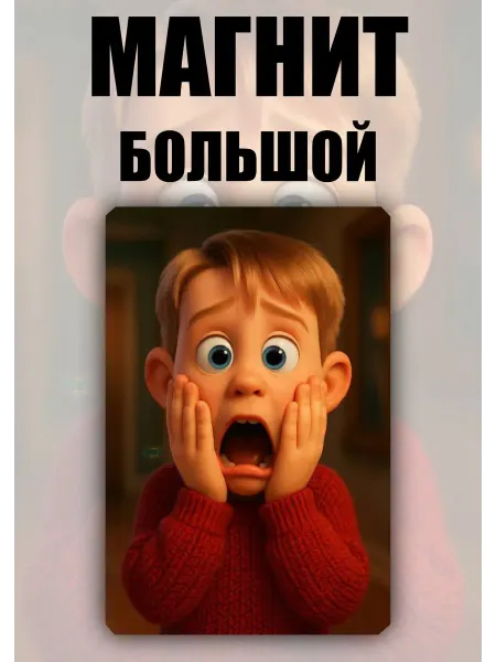 ShainGlake Магнит сувенирный Кевин один дома