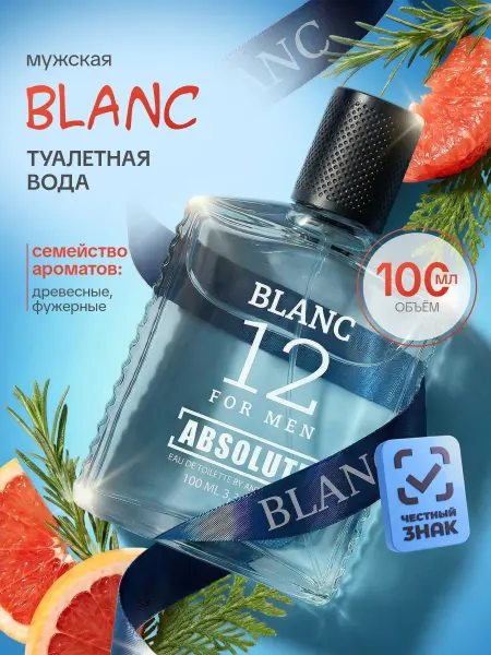 Today parfum Туалетная вода мужская свежесть Absolute Blanc 12 100мл