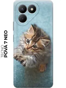 Силиконовый чехол на Tecno Pova 7 Neo с принтом "Котёнок на голубом"