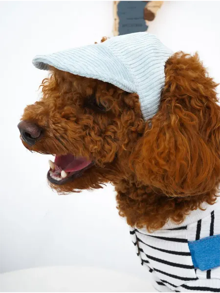 Pepino_pet Одежда для собак Кепка