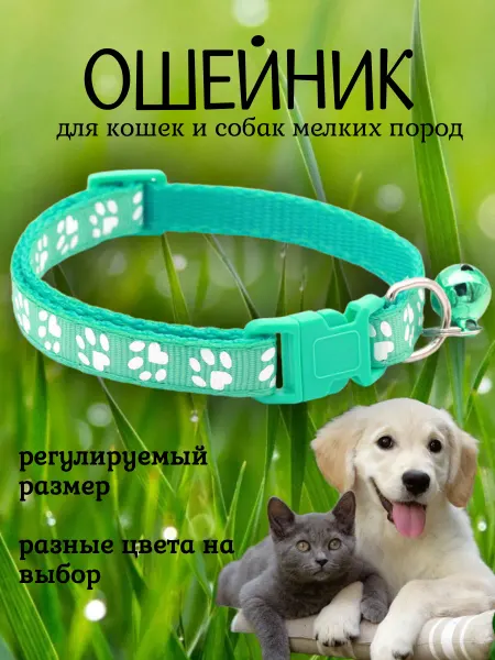 Ошейник для кошек и собак