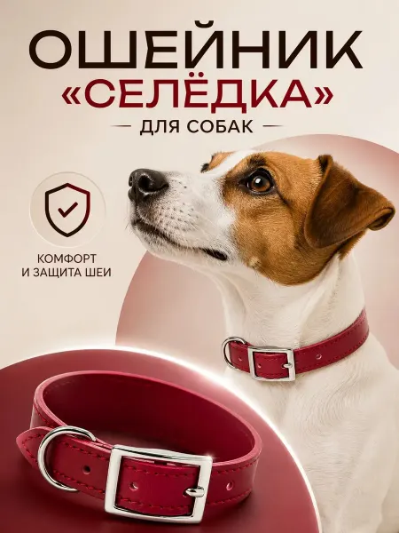 Ошейник Кэнди селедка