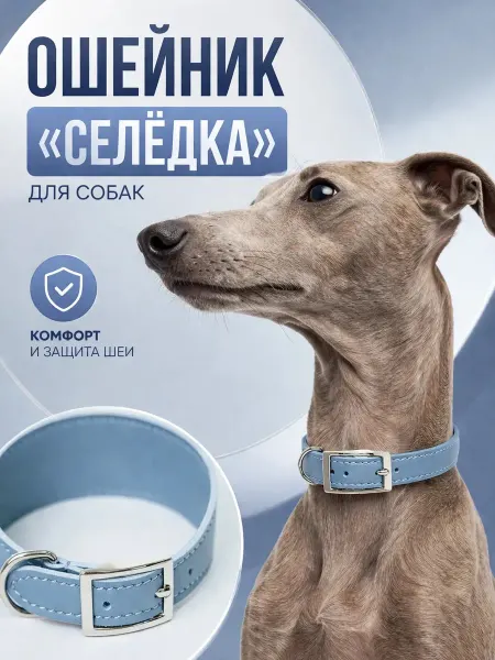 Ошейник Кэнди селедка