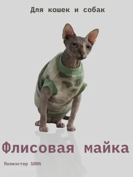 Coccoli Свитер для кошки