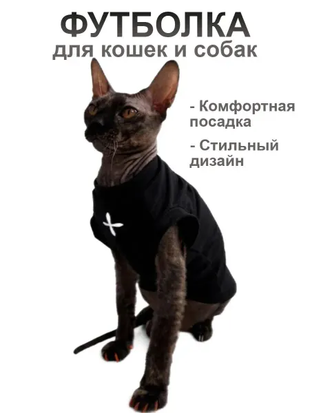 Одежда для кошек и собак