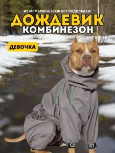 Комбинезон-дождевик для собак "Торнадо", 70 Ж/7XL, женский, капучино