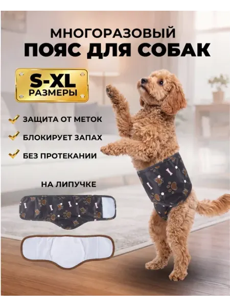 ChikChoice Пояс для кобелей многоразовый памперс для собак