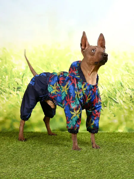 ForMyDogs Дождевик для собак мальчиков мелких пород