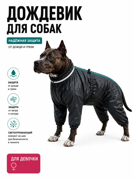 ПИТ Дождевик для собак для девочки