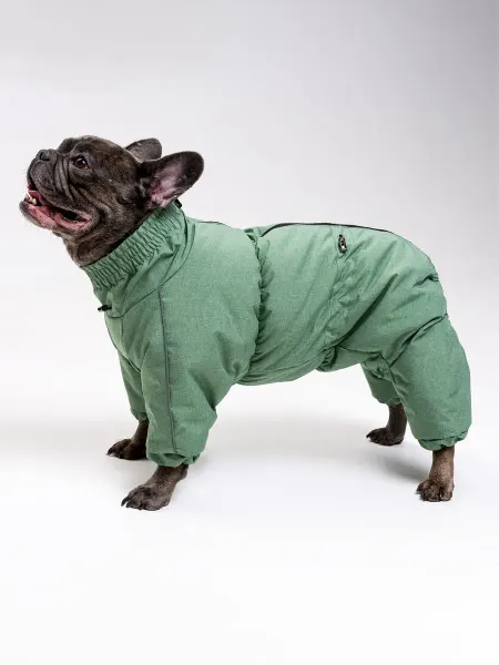 Chappadogwear Комбинезоны для собак