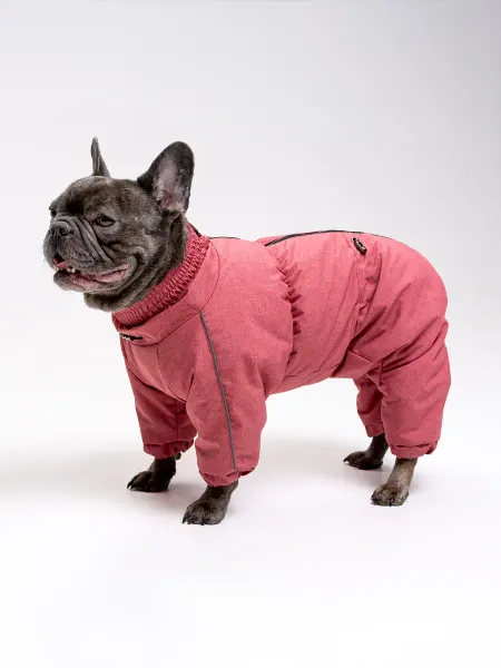 Chappadogwear Комбинезоны для собак