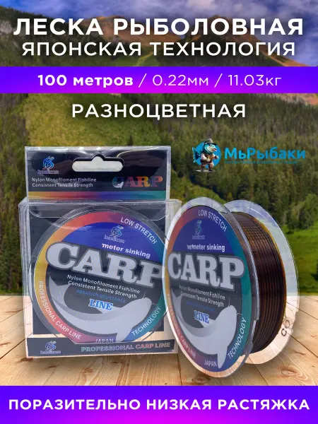 МыРыбаки Леска рыболовная 0.22 мм 100 м тонущая карповая
