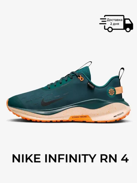 Nike Кроссовки Infinity RN 4