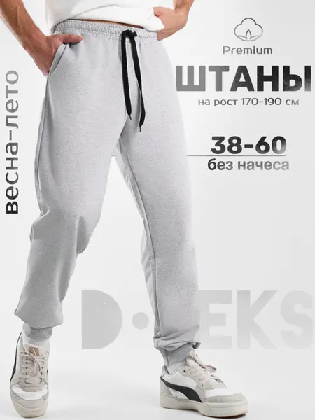 DTeksБрюки спортивные