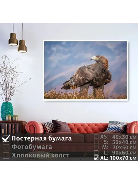 ПолиЦентр Постер на стену "Хищная птица смотрит вдаль" 100х70 см