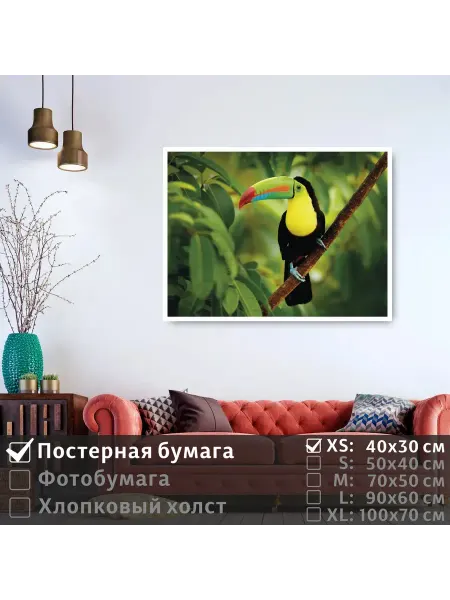 ПолиЦентр Постер "Тропическая птица тукан сидит на ветке" 40х30 см