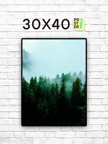 Poster Mall Постер на стену Лес в тумане 30х40