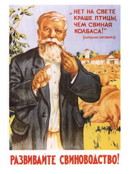 Poster Mall Постер на стену Ретро СССР . Развивайте свиноводство! 30х40