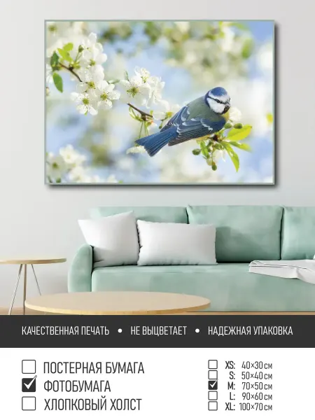ПолиЦентр Постер на фотобумаге Птичка на цветущей ветке, 70х50 см