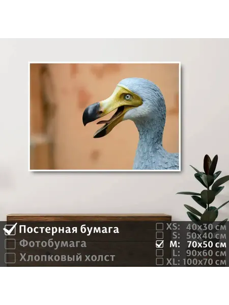 ПолиЦентр Постер на стену "Мифическая птица до до" 70х50 см