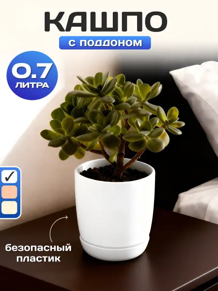 Пластик Хаус Горшок для цветов комнатных и суккулентов кашпо 0,7 л