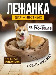 Лежанка для кошек и собак средних и крупных пород с бортиками Mad Lion Велюр 70х60 см