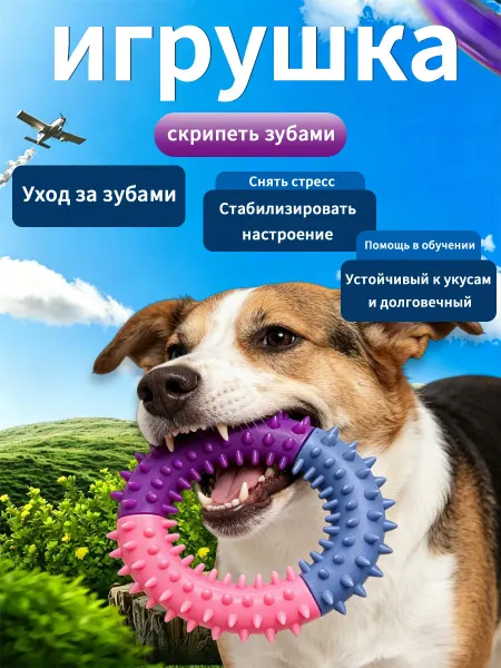 ARVIDEN Игрушка для собак кольцо с шипами，Грызунок