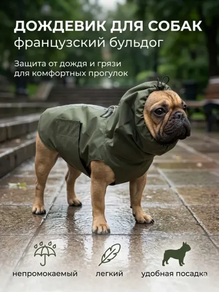 Dogfriendly.store Дождевик для собак французский бульдог
