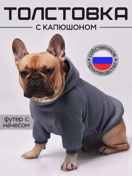 Трезор Толстовка для собак французский бульдог и мопс теплая