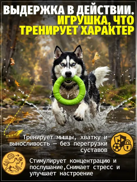 ЗООГЕНИЙ Пуллер для крупных и средних собак, кольцо для игр