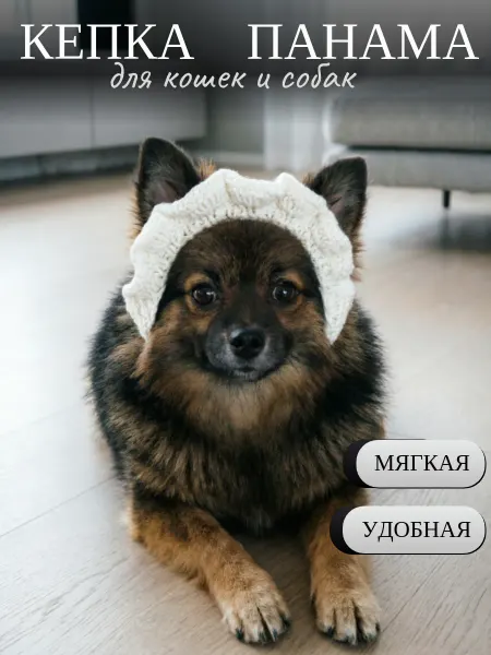 Яркий малыш Кепка для собак мелких пород на лето, панама от солнца