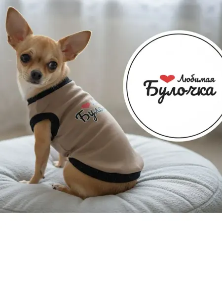 Одежда для кошек и собак