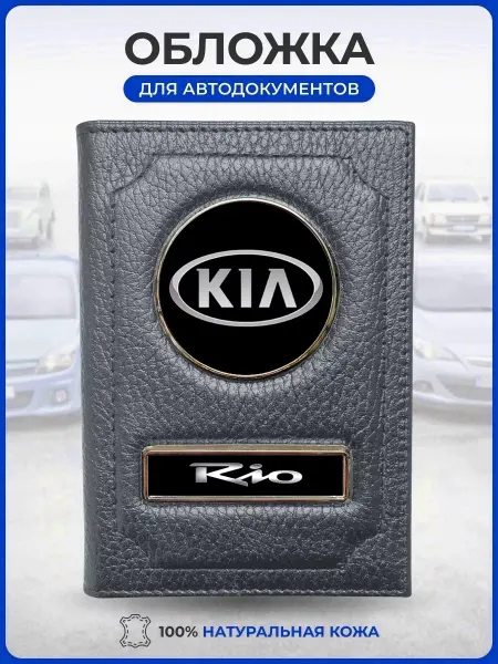 AUTO OBLOZHKA Обложка для автодокументов Kia Rio Киа Рио