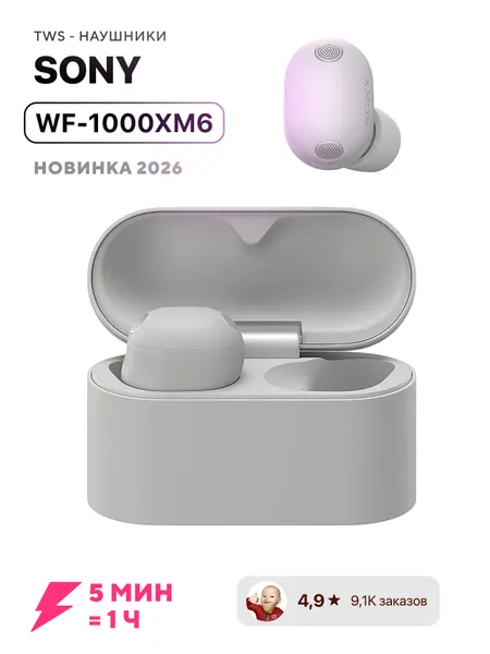 Sony WF-1000XM6 беспроводные наушники с шумоподавлением ANC, интеллектуальный AI, серебристый (Platinum Silver)