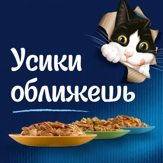 Влажный корм для кошек Felix, ягнёнок в желе, 75 г, 26 шт