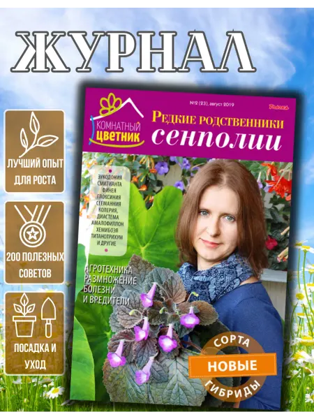Цветок Журнал цветовода №2 19. Сенполия