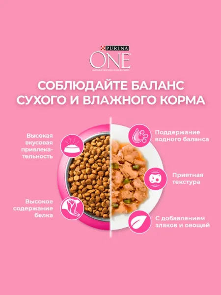 Сухой корм для котят PURINA ONE, с курицей, 750 г