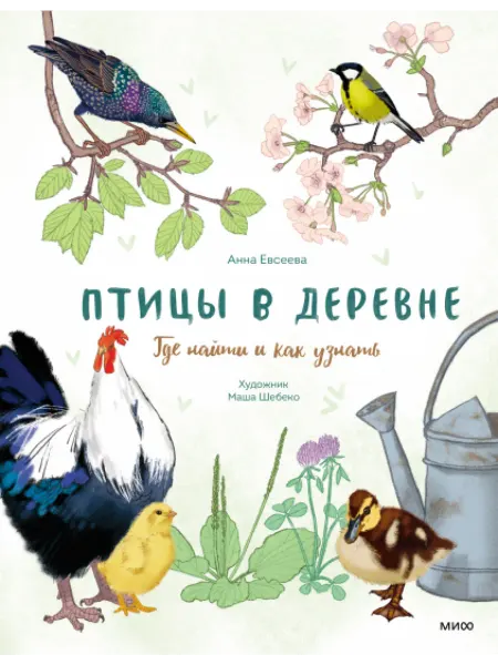 МАНН ИВАНОВ И ФЕРБЕР Птицы в деревне. Где найти и как узнать