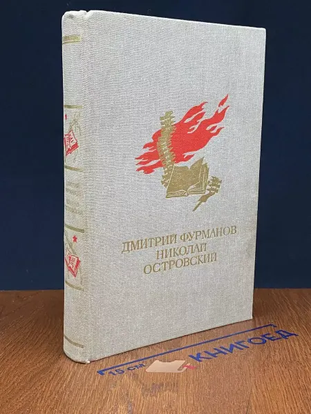 Детская литература Чапаев. Как закалялась сталь