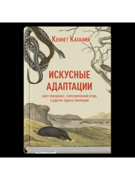 Синдбад Искусные адаптации