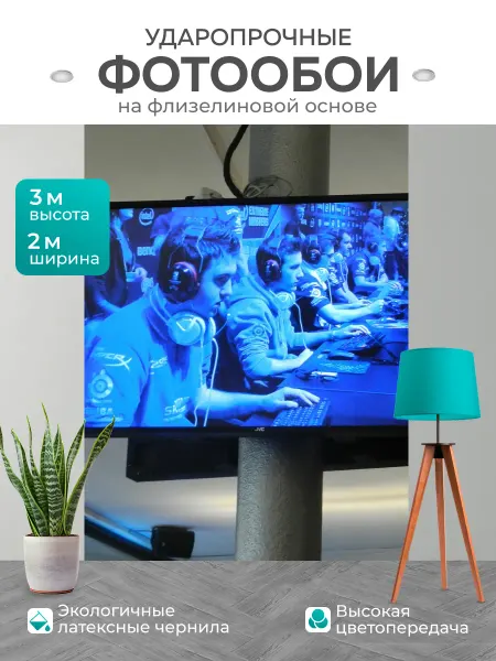 LotsPrints Фотообои "Игра, монитор, конкурс" 2x3м