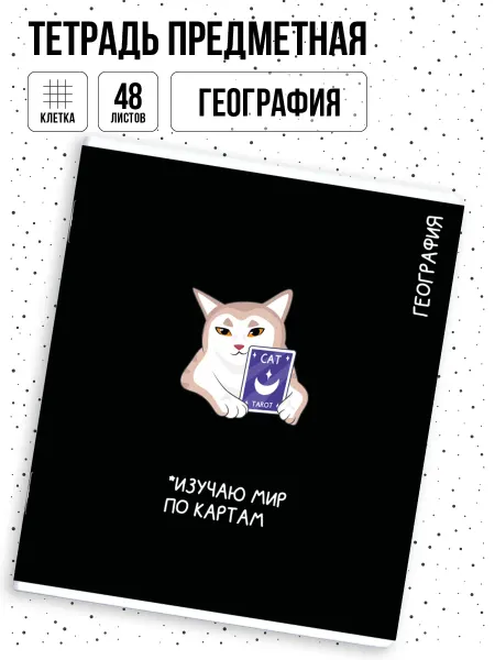 Феникс+ Тетрадь предметная в клетку География 48л