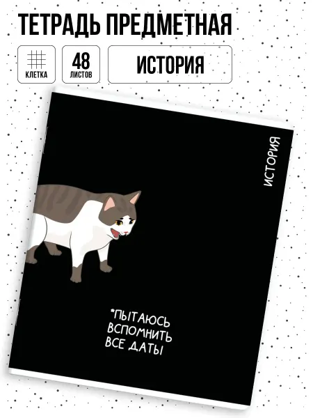 Феникс+ Тетрадь предметная в клетку История 48л