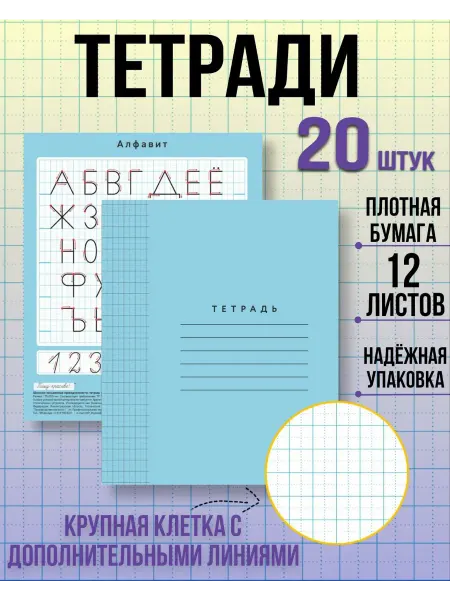 Пишу красиво! Тетради в крупную клетку 12 л, 20 шт голубая