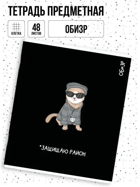 Феникс+ Тетрадь предметная в клетку ОБиЗР 48л